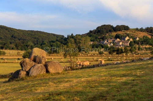 IMG_19077971_LOZèRE (48) MARCHASTEL MONTS D'AUBRAC CHAOS GRANIT