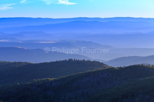IMG_14077832_Lozère (48) Mont Aigoual Parc National des Cévenn