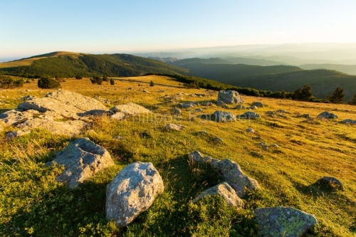 IMG_14077836_Lozère (48) Mont Aigoual Parc National des Cévenn