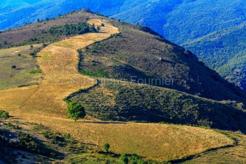IMG_1906241111_Lozère (48)  Le Pompidou Parc National des Céve