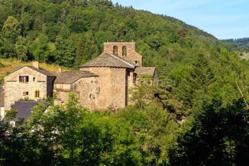 IMG_19077983_Lozère (48) Saint Julien du Tournel Parc National