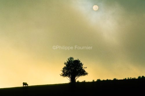 IMG_074233_Ardeche (07)  lachamp raphael (parc naturel regional