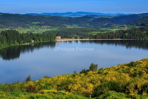 IMG_13062083_LAC_D'ISSARLES_ISSARLES_ARDECHE_07