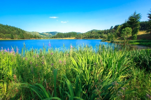 IMG_15070344_Lac-de-Saint-Martial_Paysage_Saint-Martial_Ardeche