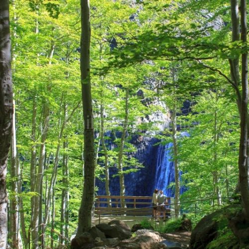 Parc Naturel Régional des Monts d'Ardèche