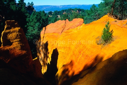 IMG_84050_VAUCLUSE (84)  ROUSSILLON PARC NATUREL REGIONAL DU LUB