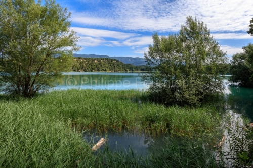 IMG_18068666_VAUCLUSE (84)  LA MOTTE D'AIGUES PAYSAGE ETANG DE L