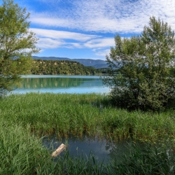 IMG_18068666_VAUCLUSE (84)  LA MOTTE D'AIGUES PAYSAGE ETANG DE L