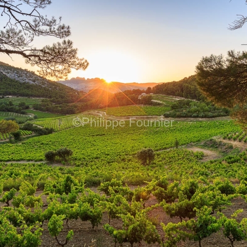 Pays des Dentelles de Montmirail