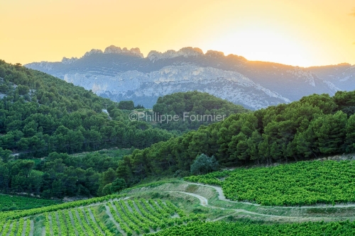 IMG_1907072476_vaucluse (84)  la roque alric le vignoble, beaume