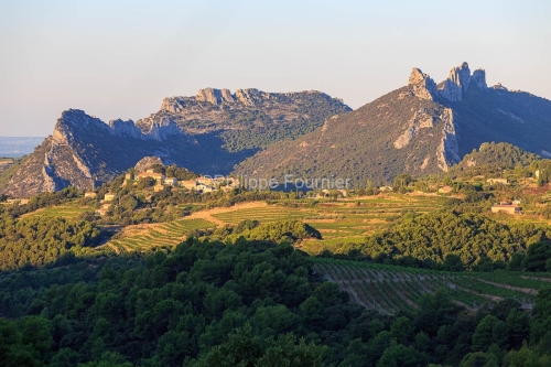 IMG_1909131448_Vaucluse (84)  Suzette  vue du village, le vignob