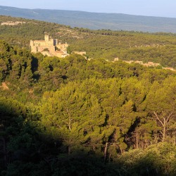 IMG_1907072325_Vaucluse (84)  Le Barroux Pays des Dentelles de M