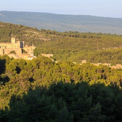 IMG_1907072347_Vaucluse (84)  Le Barroux Pays des Dentelles de M