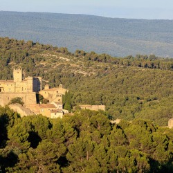 IMG_1907072371_Vaucluse (84)  Le Barroux Pays des Dentelles de M