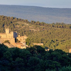 IMG_1907072442_Vaucluse (84)  Le Barroux Pays des Dentelles de M
