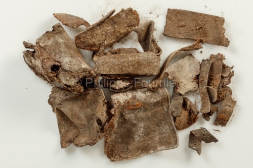 IMG_18020256_Ardeche (07) Alba la Romaine Muséal Tombe du solda