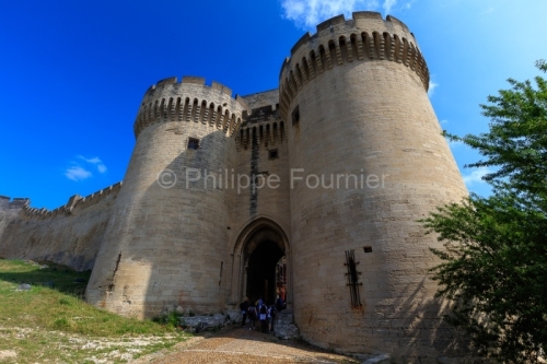 IMG_18050017_GARD (30)  VILLENEUVE LèS AVIGNON PATRIMOINE FORT