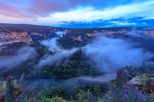 IMG_19053399_Ardeche (07) saint remèze réserve naturelle des g