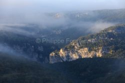 IMG_18041679_Ardèche (07)Vallon Pont d'Arc Réserve Naturelle d