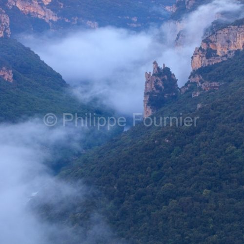 Réserve naturelle des Gorges de l'Ardèche