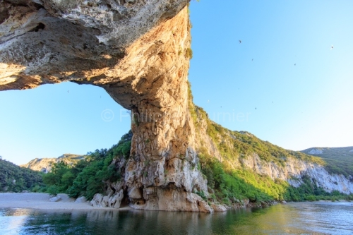 IMG_16052826_Ardeche (07) vallon pont d'arc reserve naturelle de