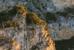 IMG_16064920_Ardèche (07) vallon pont d'arc réserve naturelle