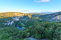 IMG_19054528_ARDèCHE (07)  VALLON PONT D'ARC RéSERVE NATURELLE