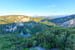 IMG_19054532_ARDèCHE (07)  VALLON PONT D'ARC RéSERVE NATURELLE