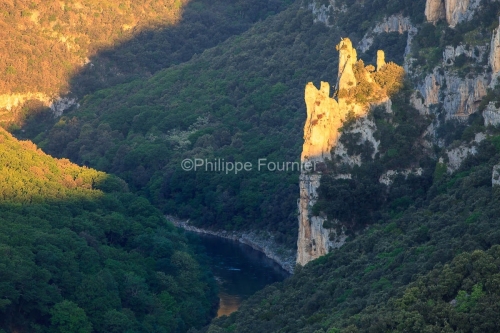 IMG_19053116_ARDèCHE (07)  SAINT REMèZE RéSERVE NATURELLE DES