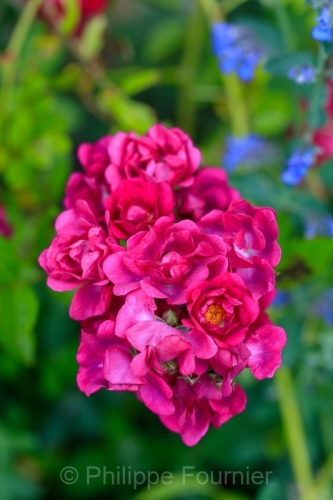 IMG_2605220278