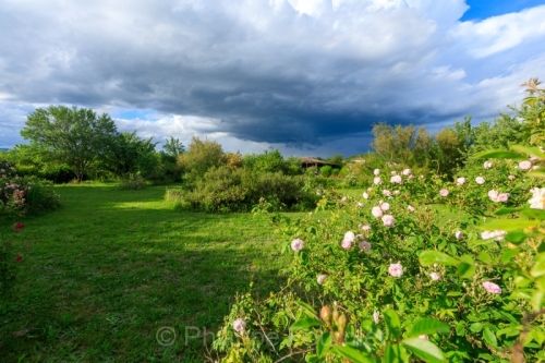 IMG_2605061078