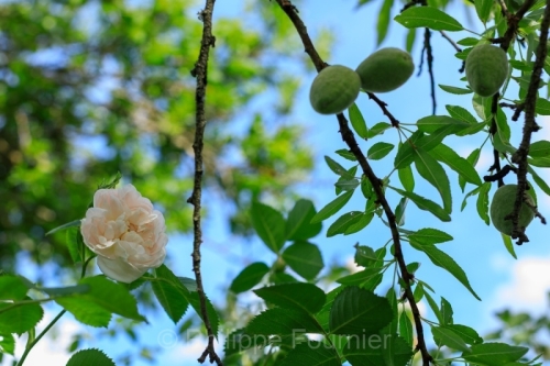 IMG_2605071279
