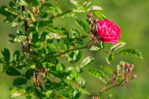 IMG_2605081667