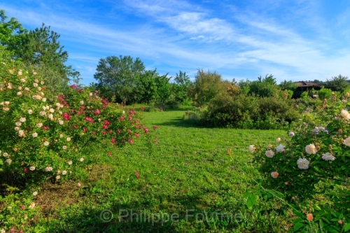 IMG_2605081676