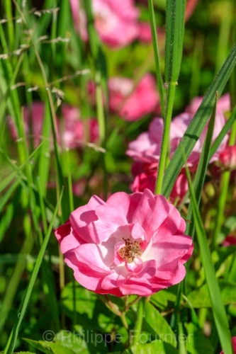 IMG_2605160120
