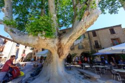 IMG_18068046_HERAULT (34)  SAINT GUILHEM LE DéSERT PATRIMOINE P