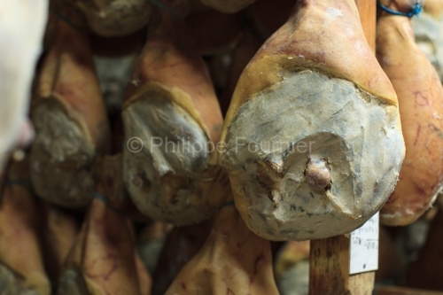 IMG_108905_Ardeche (07) Saint Agreve Agroalimentaire SALAISONS