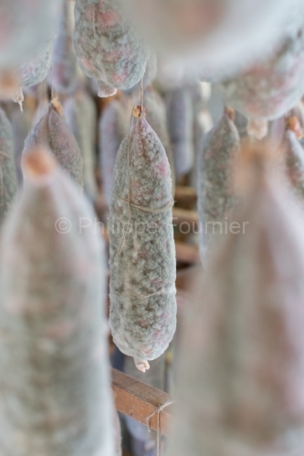 IMG_12120551_ardèche (07) saint cirgues en montagne agroaliment