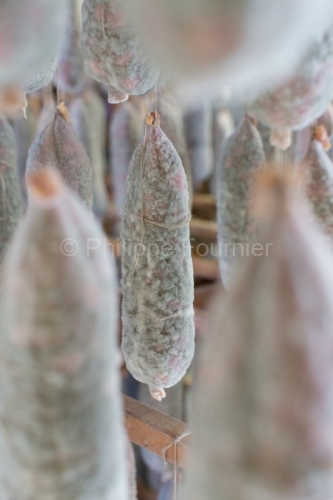 IMG_12120552_ardèche (07) saint cirgues en montagne agroaliment