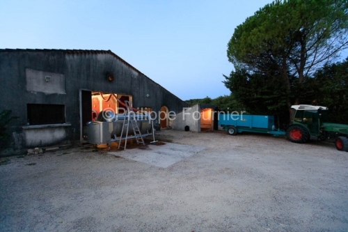 IMG_16091574_ARDECHE (07)  BOURG SAINT ANDEOL NOTRE DAME DE COUS