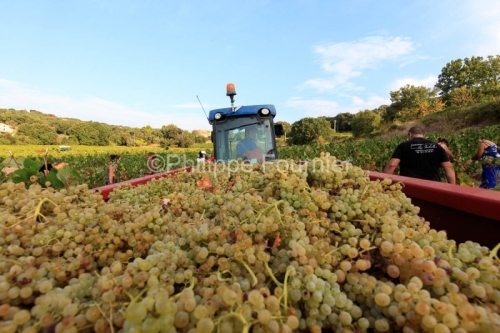 IMG_16091642_ARDECHE (07)  BOURG SAINT ANDEOL NOTRE DAME DE COUS