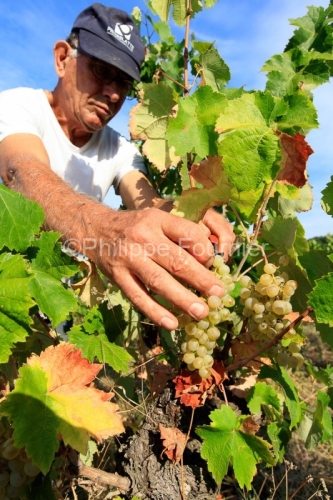 IMG_16091766_ARDECHE (07)  BOURG SAINT ANDEOL NOTRE DAME DE COUS