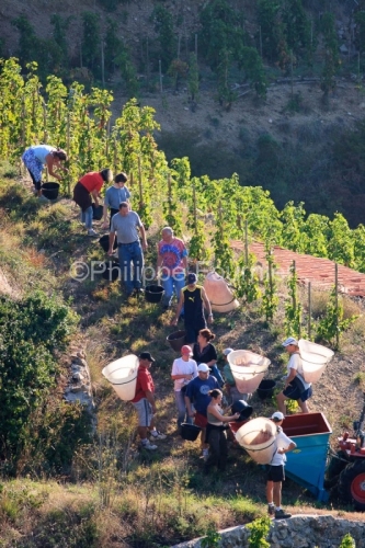 IMG_22909_DROME (26)  TAIN L'HERMITAGE VIGNOBLE DE L'HERMITAGES