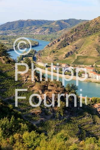 IMG_15084420_Paysage Vignoble Vignoble-en-Terrasse Tournon-sur-R