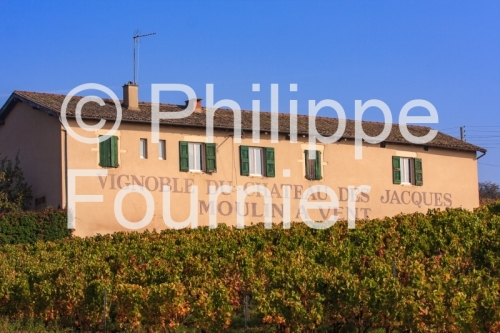 IMG_4002_ROMANECHE THORINS BEAUJOLAIS RHONE 69