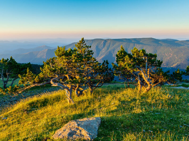 IMG_14077820_PANORAMA_DU_MONT_AIGOUAL_LOZERE_48