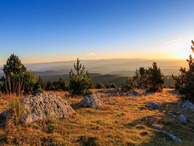 IMG_14077823_PANORAMA_DU_MONT_AIGOUAL_LOZERE_48