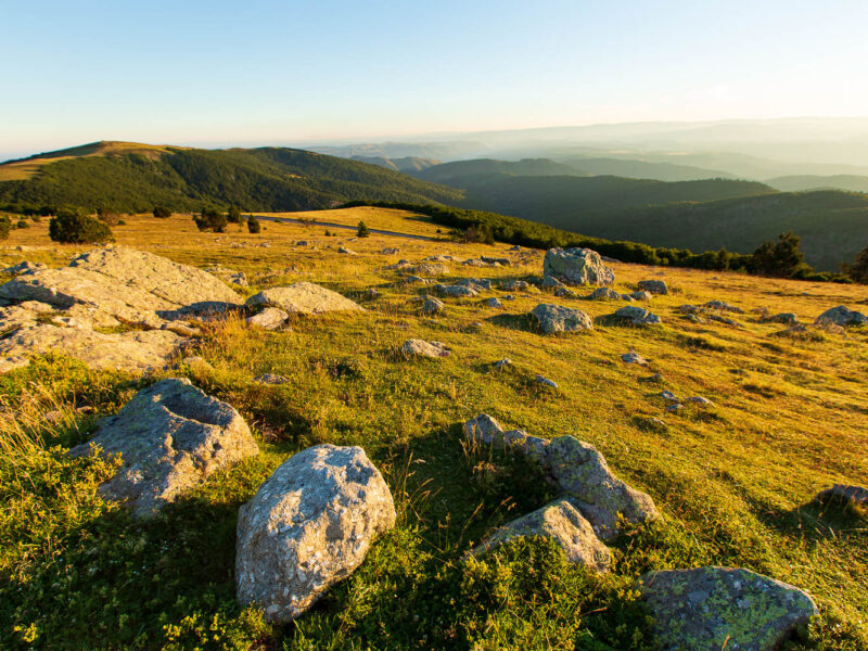 IMG_14077836_PANORAMA_DU_MONT_AIGOUAL_LOZERE_48