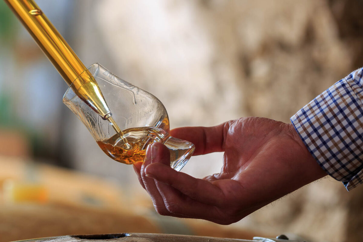 IMG_1906101122_Ardèche (07) Saint Martin d'Ardèche Soutirage Chais de vieillissement, le whisky du Tanargue._