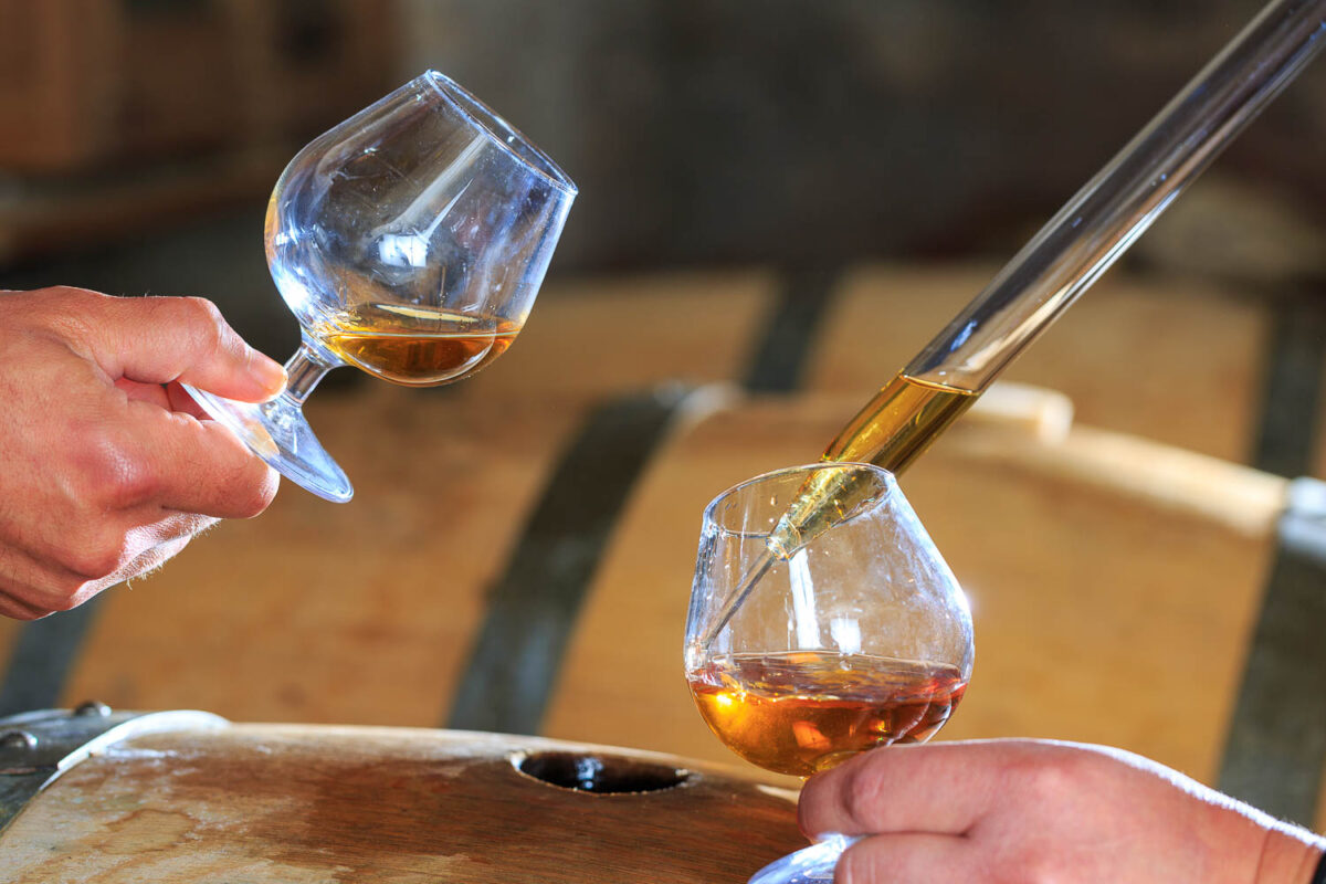 IMG_1906101170_Ardèche (07) Saint Martin d'Ardèche Soutirage Chais de vieillissement, le whisky du Tanargue._